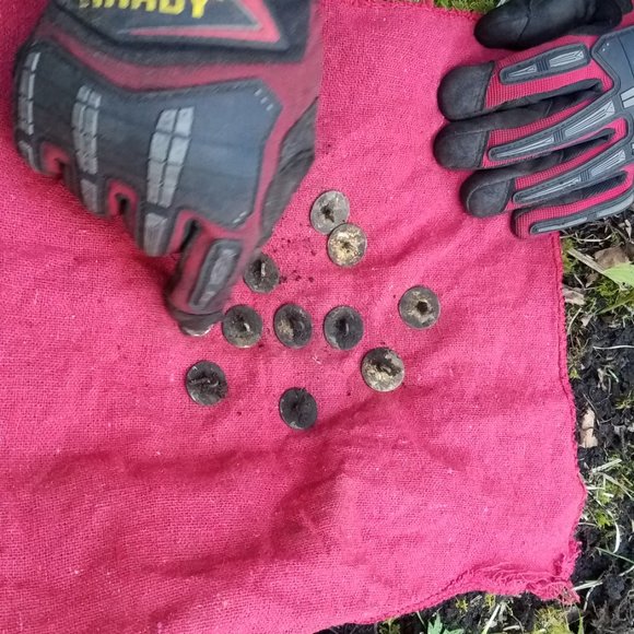 Meet your Posher, Patrick - Picture 8 of 9